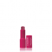 CAUDALIE Tinted Lip Balm για Ενυδάτωση των Χειλιών & Χρώμα 4,5g CAUDALIE Tinted Lip Balm για Ενυδάτωση των Χειλιών & Χρώμα 4,5g